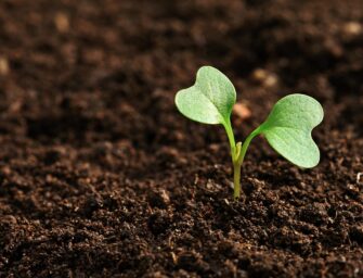 EL REGADÍO ACTUAL ES INTELIGENTE, PRECISO Y RESPONSABLE CON EL MEDIO AMBIENTE