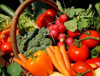 FELIZ DÍA MUNDIAL DE LA AGRICULTURA