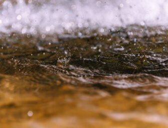 EL USO DE AGUA REGENERADA PARA EL RIEGO EN LA AGRICULTURA