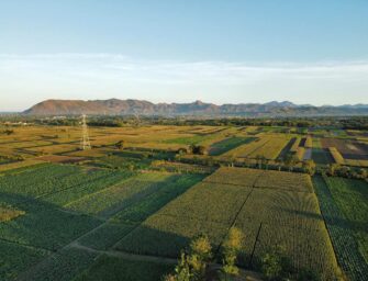 LA FERTIRRIGACIÓN CENTRALIZADA Y LA AGRICULTURA ECOLÓGICA