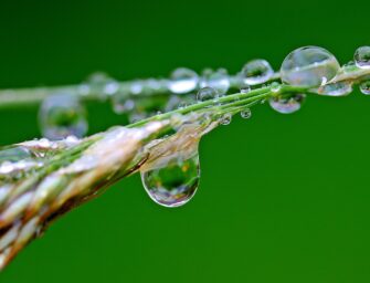 NANOTECNOLOGÍA Y BIOTECNOLOGÍA EN LA GESTIÓN DEL AGUA